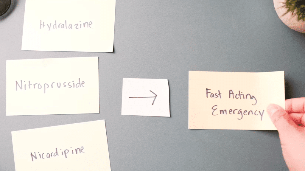 use of Transcription and Translation Flashcards