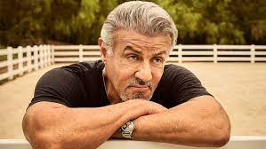 Stallone's Reflections