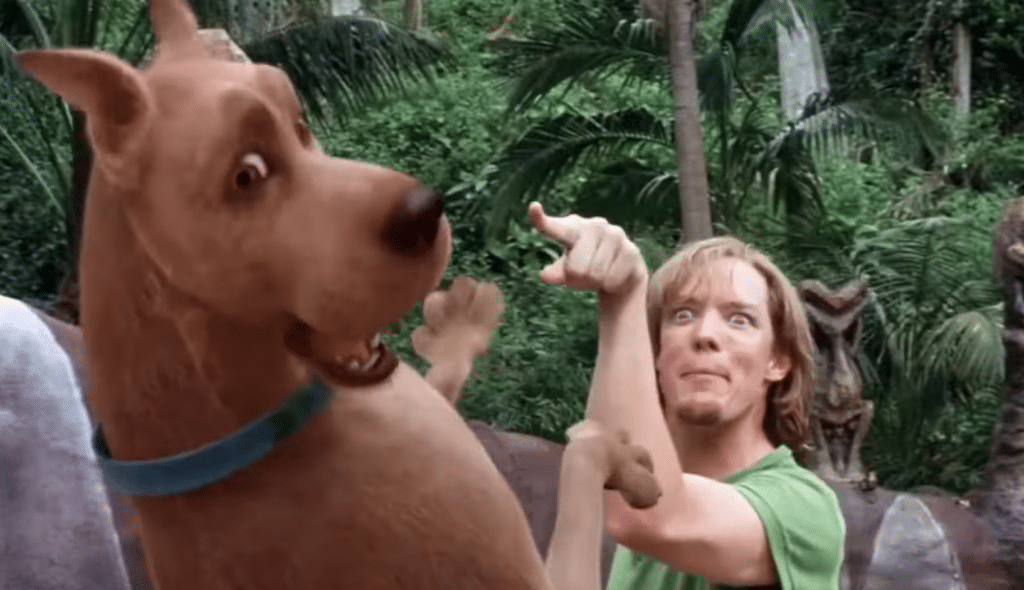 matthew lillard shaggy scooby doo movie