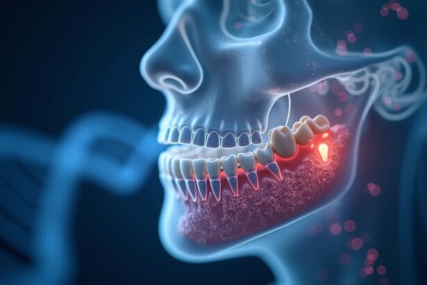 Japanese scientists have discovered a third set of hidden teeth capable of regrowth